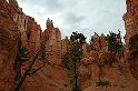 Top of Bryce Canyon